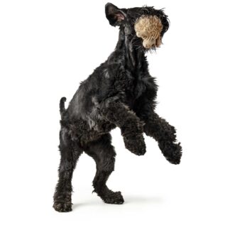 Hunter Hundespielzeug Pori Hund