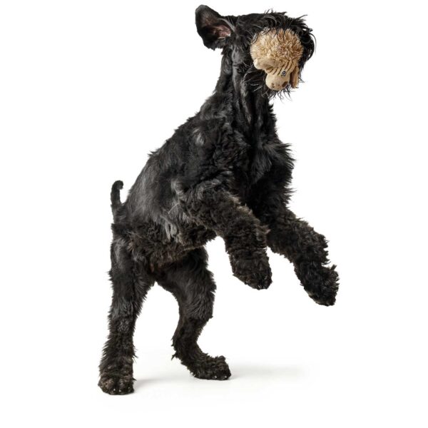 Hunter Hundespielzeug Pori Hund – Bild 2