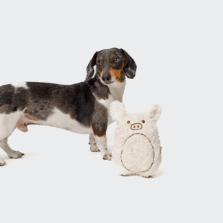 CLOUD7 Hundespielzeug Schweinchen Harry