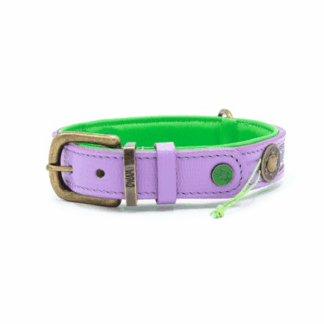 DWAM Halsband Smiley