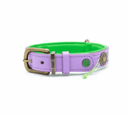 DWAM Halsband Smiley – Bild 3