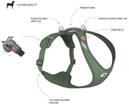 Curli Belka Harness