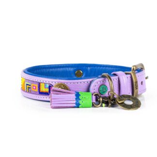 DWAM Halsband ColorPop