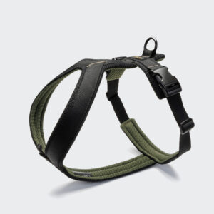 CLOUD7 Y-1 Geschirr AKTIV Air-Mesh Black