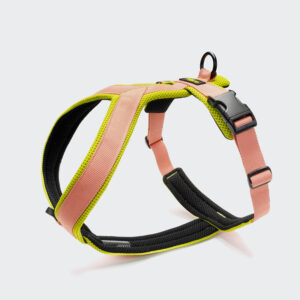 CLOUD7 Y-1 Geschirr AKTIV Air-Mesh Peach
