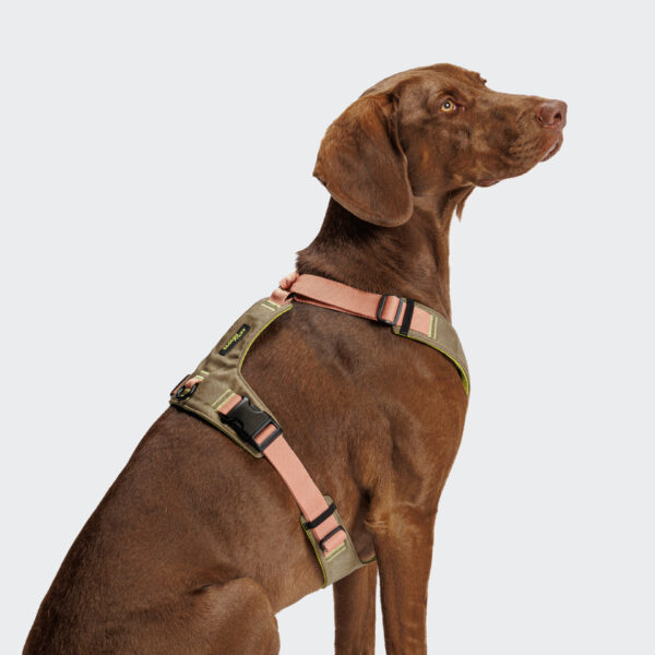 CLOUD7 Y-2 Geschirr AKTIV Cordura Peach – Bild 3