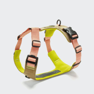 CLOUD7 Y-2 Geschirr AKTIV Cordura Peach