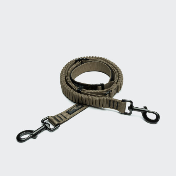 CLOUD7 L-2 Jogging-Leine AKTIV Olive