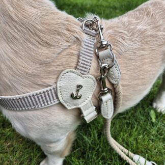 MALUCCHI Geschirr Maritima Burro