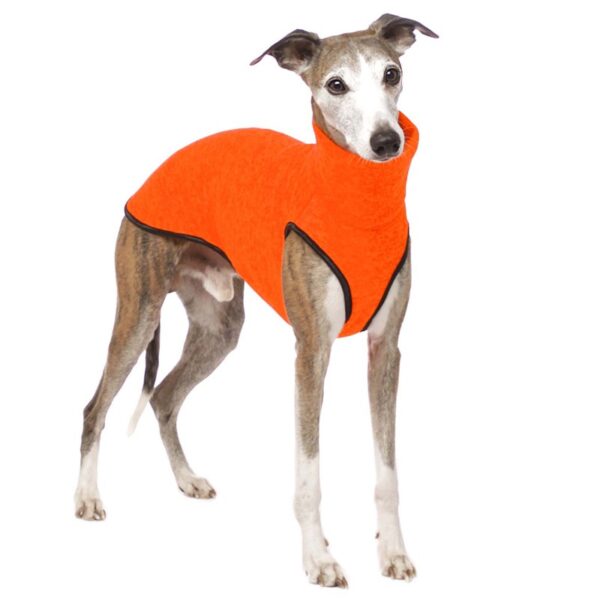 SOFA Dog Wear Hundepullover Hachico JUMPER Neon Orange