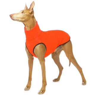 SOFA Dog Wear Hundepullover Hachico JUMPER Neon Orange