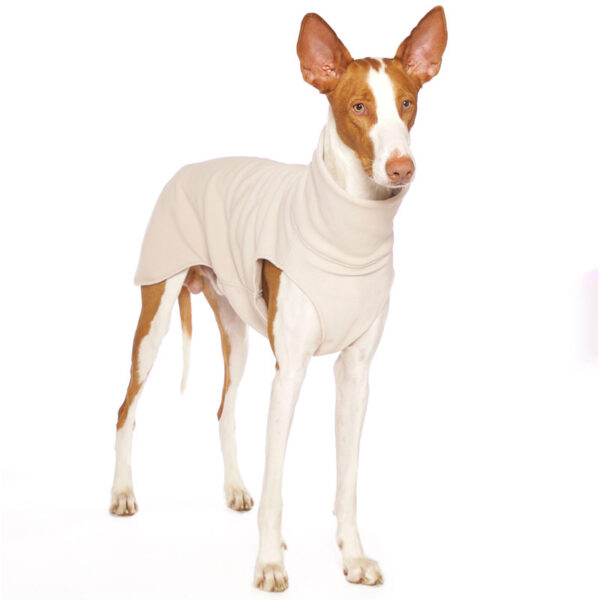 SOFA Dog Wear Hundepullover Hachico Home Solid Beige