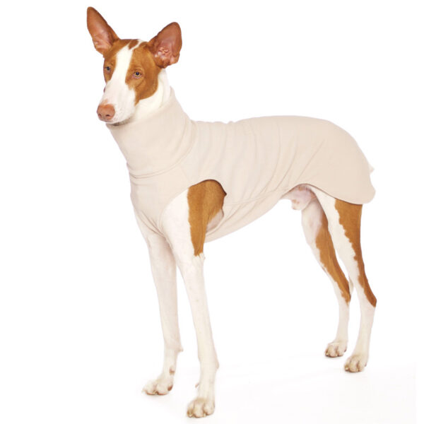 SOFA Dog Wear Hundepullover Hachico Home Solid Beige