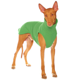 SOFA Dog Wear Hundepullover Hachico Home Solid Grün