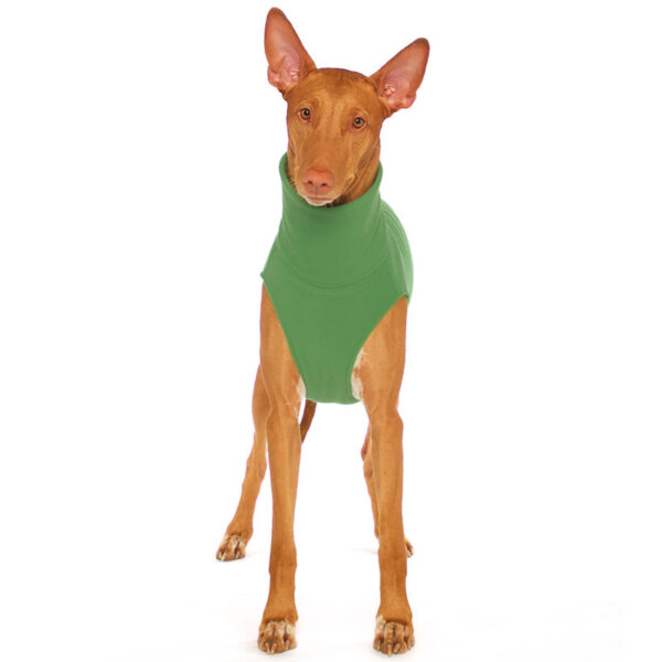 SOFA Dog Wear Hundepullover Hachico Home Solid Grün