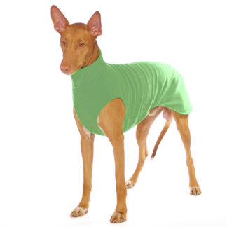 SOFA Dog Wear Hundepullover Hachico Home Solid Grün