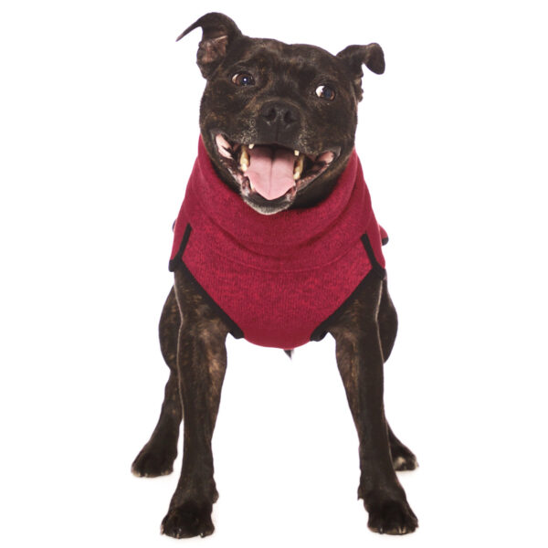 SOFA Dog Wear Hundepullover Vinc Bull Jumper Himbeer