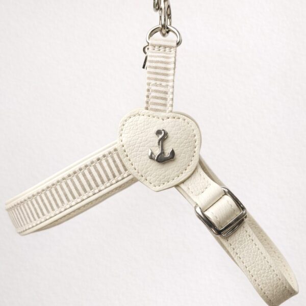 MALUCCHI Geschirr Maritima Burro