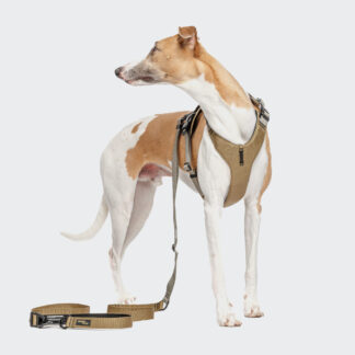 CLOUD7 Y-2 Geschirr AKTIV Cordura Khaki