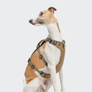 CLOUD7 Y Sicherheitsgeschirr AKTIV Khaki/Grey
