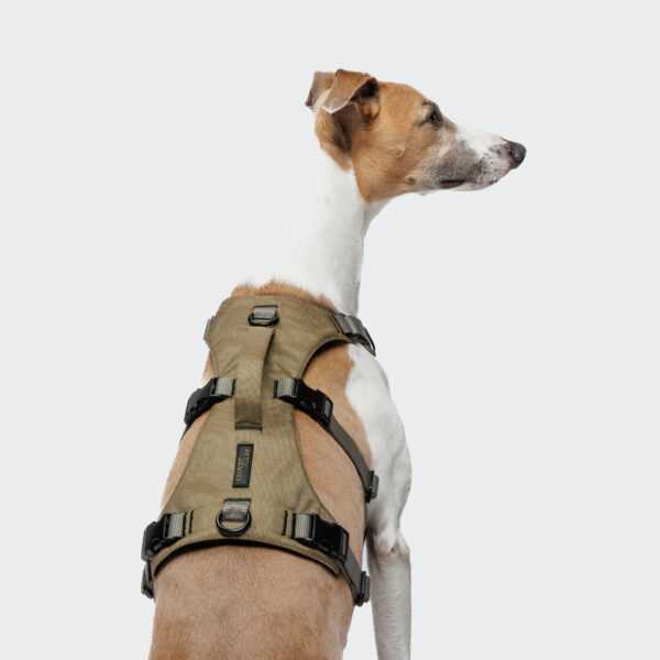 CLOUD7 Y Sicherheitsgeschirr AKTIV Khaki/Grey