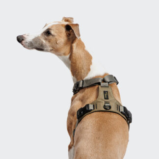 CLOUD7 Y-2 Geschirr AKTIV Cordura Khaki