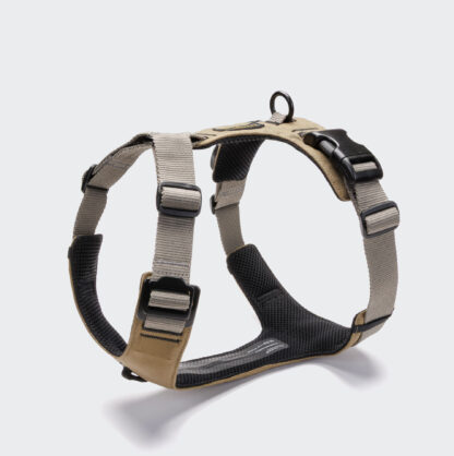 Cloud7 Dog Harness Y2 Aktiv Khaki Grey On Grey.jpg