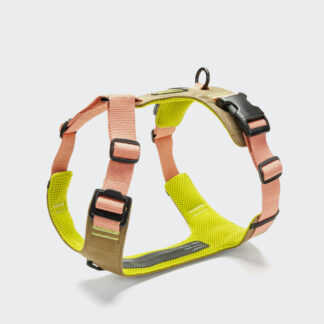 CLOUD7 Y-2 Geschirr AKTIV Cordura Peach