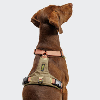 CLOUD7 Y-2 Geschirr AKTIV Cordura Peach