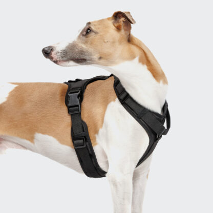 Cloud7 Dog Harness Y3 Aktiv Black Dog 1 On Grey.jpg