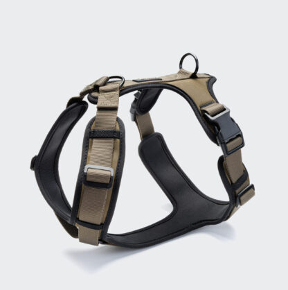 Cloud7 Dog Harness Y3 Aktiv Olive On Grey.jpg