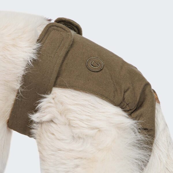 CLOUD7 Läufigkeitshöschen Olive