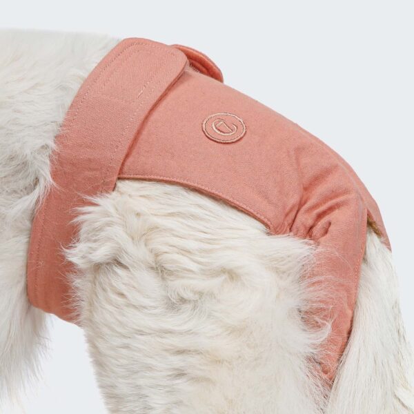 CLOUD7 Läufigkeitshöschen Rose