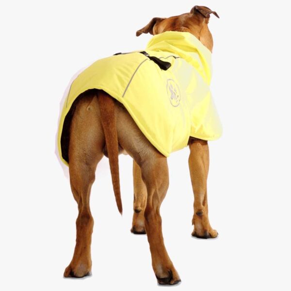 SOFA Dog Wear Hundemantel Gehry K2 Gelb – Bild 3