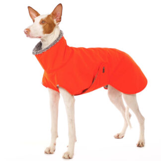 SOFA Dog Wear Hugo Orange