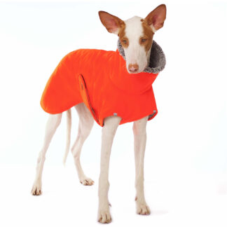 SOFA Dog Wear Hugo Orange