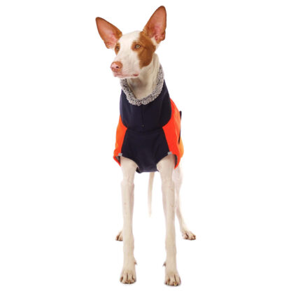Hugo Neon 5.jpg
