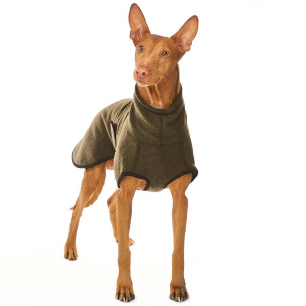 SOFA Dog Wear Hundepullover Hugo EXCLUSIVE – Bild 3