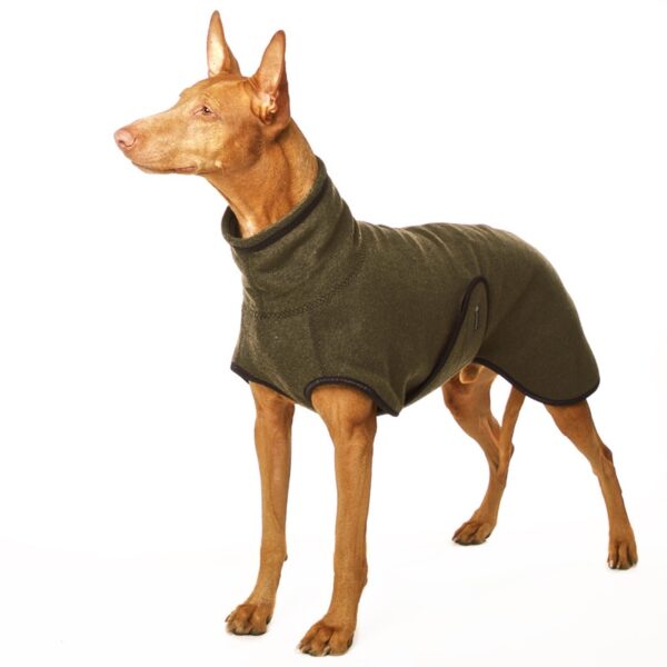 SOFA Dog Wear Hundepullover Hugo EXCLUSIVE – Bild 4