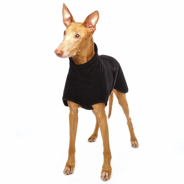 SOFA Dog Wear Hundepullover Hugo EXCLUSIVE Schwarz – Bild 3