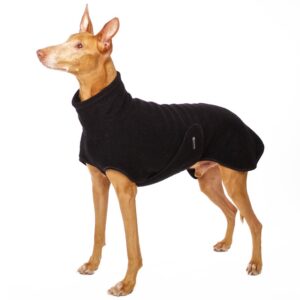 SOFA Dog Wear Hundepullover Hugo EXCLUSIVE Schwarz