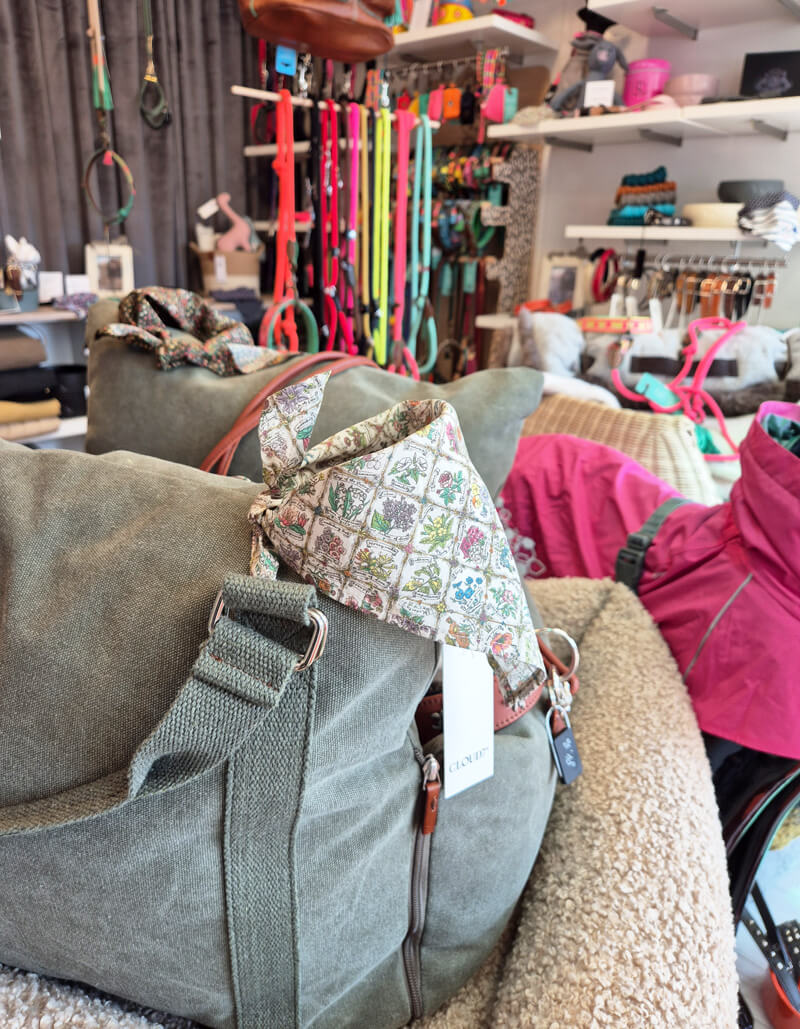 Hundetasche in einem Geschäft für Hundezubehör