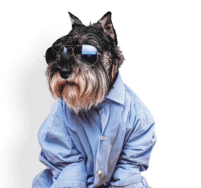 Hundebekleidung
