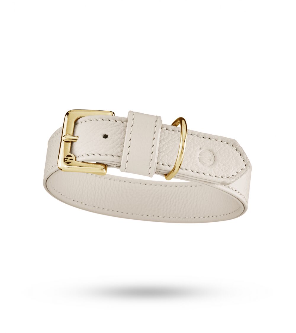 Movie Gold Collar 2 Cm.jpg