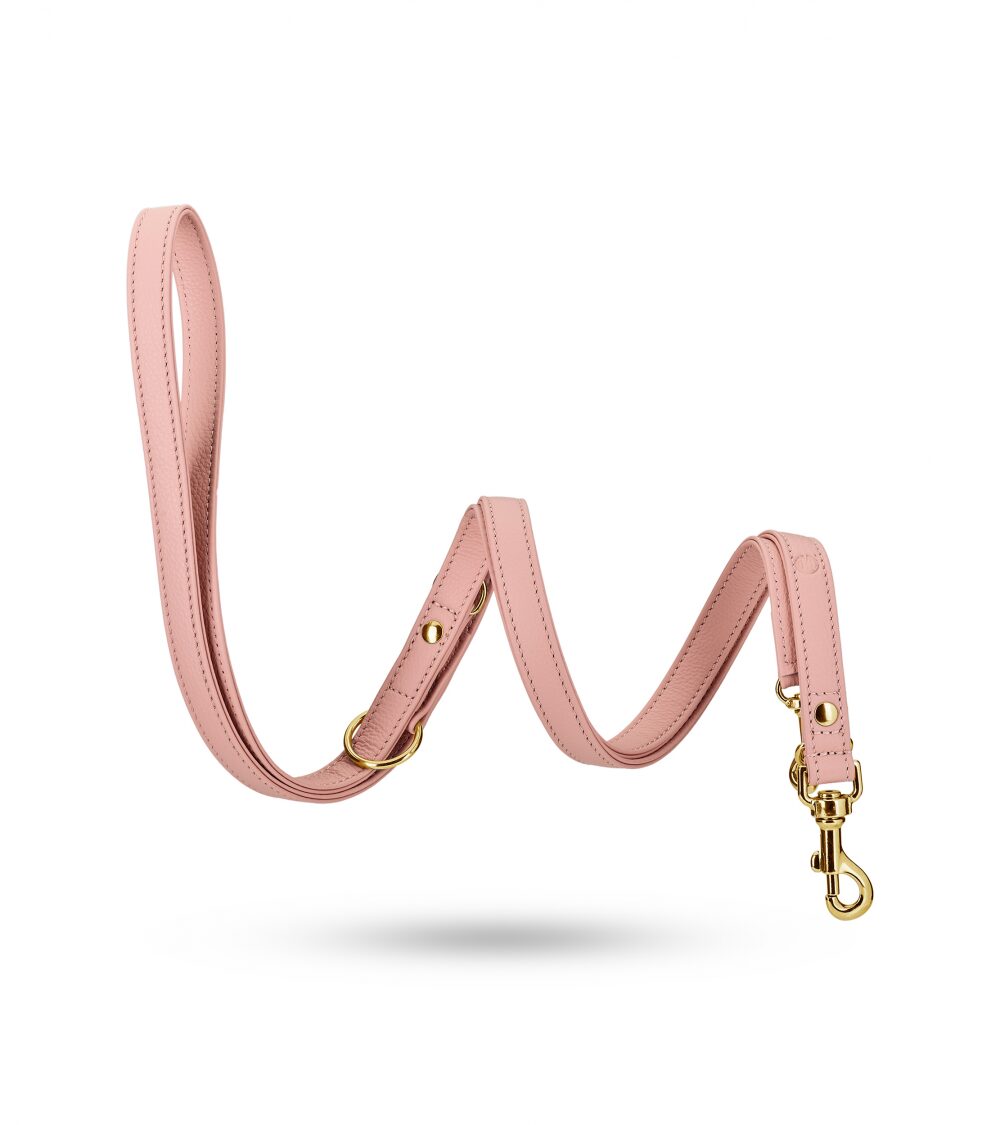 Movie Gold Training Leash 14.jpg