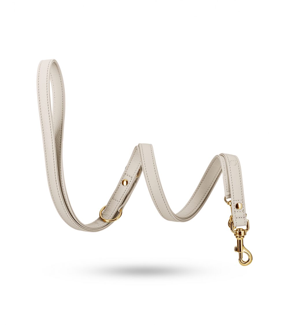 Movie Gold Training Leash 7.jpg