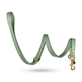 MALUCCHI Hundeleine Movie Salvia Gold