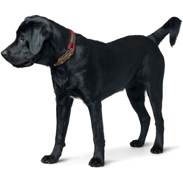 HUNTER Hundehalsband Malia Weinrot/Dunkelbraun