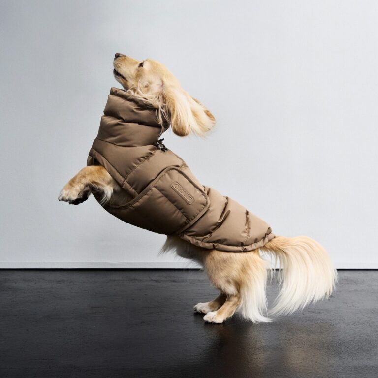 CLOUD7 Hundemantel Alaska Light Olive für kalte Tage