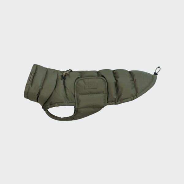 CLOUD7 Hundemantel Alaska Dackel Light Olive